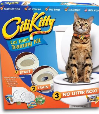 CitiKitty-1.jpg